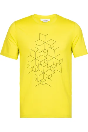 Icebreaker Funkční tričko 