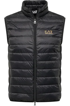 EA7 Vesta