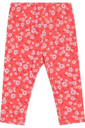 GAP Legíny