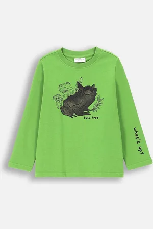 COCCODRILLO Dětské bavlněné tričko s dlouhým rukávem barva, s potiskem, GRUNGE SWAMP BOY KIDS