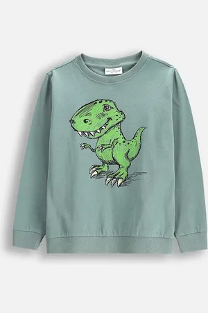COCCODRILLO Dětské bavlněné tričko s dlouhým rukávem barva, s potiskem, EVERYDAY BOY