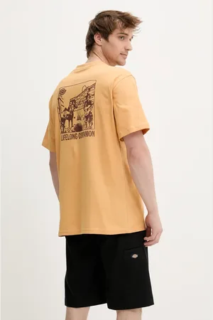 Dickies Bavlněné tričko pánské, barva, s potiskem, DK0A4Z98K411