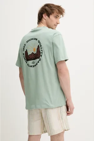 Dickies Bavlněné tričko pánské, barva, s potiskem, DK0A4Z8PK361