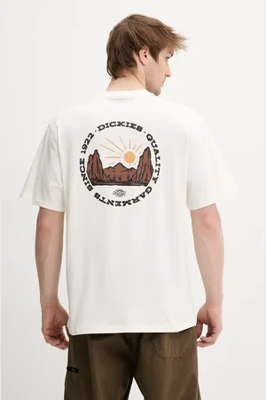 Dickies Bavlněné tričko pánské, barva, s potiskem, DK0A4Z8PC481