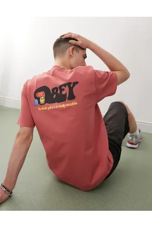 Obey Earth drop out graphic logo t-shirt with back print in mineral