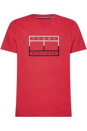 Tommy Hilfiger T-shirt - OUTLINE LINEAR FLAG TEE red
