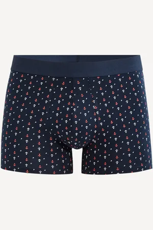 Celio Giboancre Boxerky