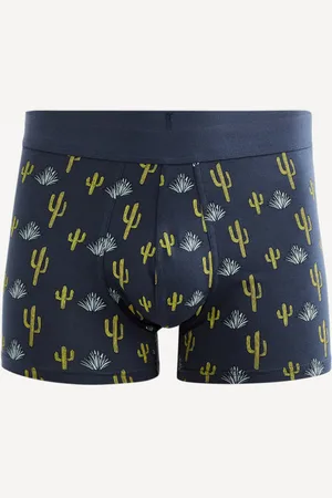 Celio Gibocactus Boxerky
