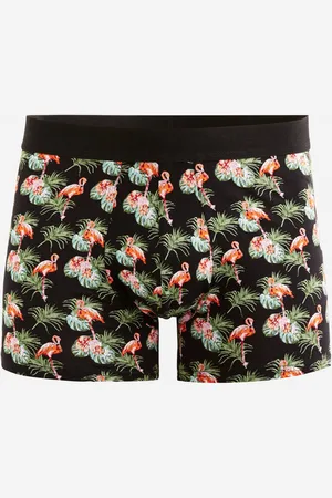 Celio Giboflaman Boxerky