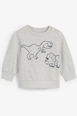 bonprix Měkká mikina z organické bavlny, s potiskem dinosaurů