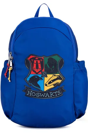 Harry Potter Batohy ACCCS-AW24-214WBHP-A
