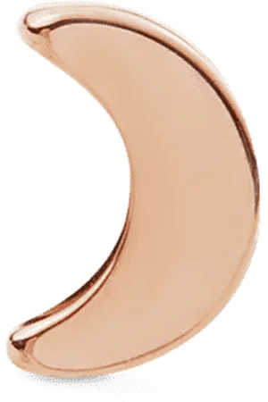 Daniel Wellington DW Earrings Micro 5mm