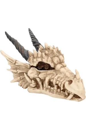 Nemesis Now Dekorační Předměty Gotika z - Krabička Dragon Skull Unisex