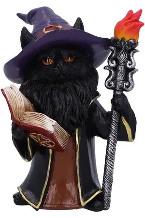 Nemesis Now Socha Gotika z - Wizard Cat Unisex