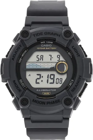 Casio Hodinky WS-1300H-8AVEF