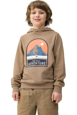 4F Chlapecká turistická mikina s kapucí SWEATSHIRT-4FJWSS24TSWSM0933-81S