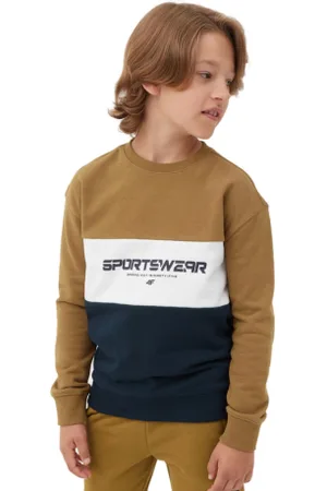 4F Chlapecká mikina SWEATSHIRT-JAW23TSWSM630-74S