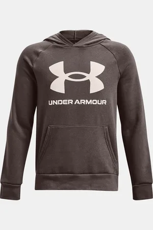 Under Armour Chlapecká mikina Logo