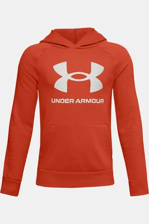 Under Armour Chlapecká mikina Logo