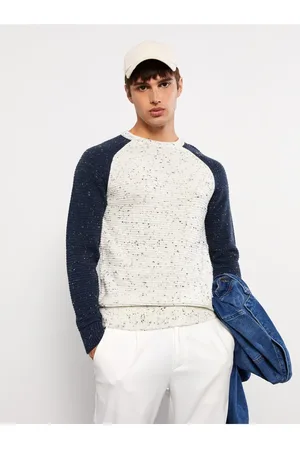 LC Waikiki Crew Neck Long Sleeve Color Block Men