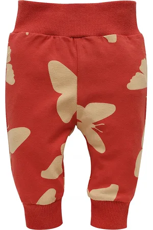 Pinókio Kids