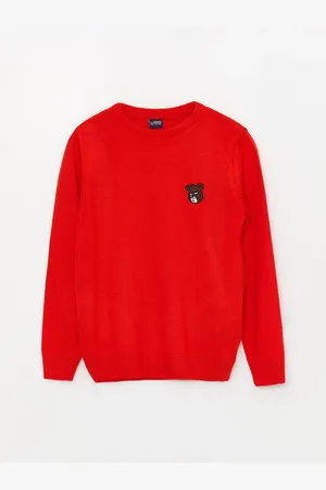 LC Waikiki Crew Neck Long Sleeve Boy