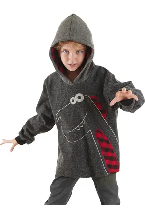 Denokids Dino Boy Hooded Sweatshirt