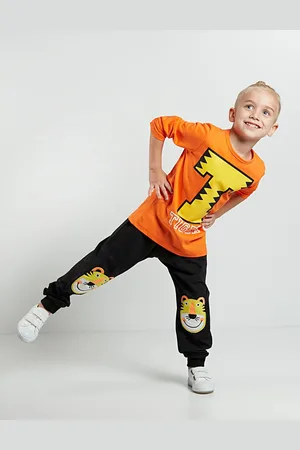 Denokids T Tiger chlapecké kalhoty a tričko