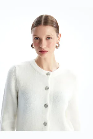 LC Waikiki LCW Crew Neck Plain Long Sleeve Women