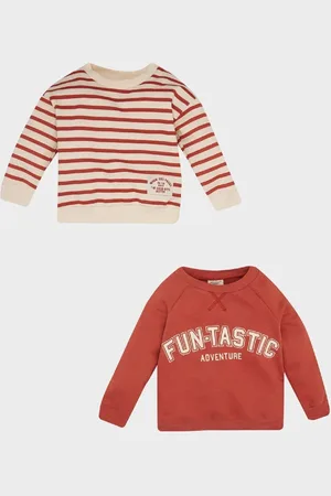 DeFacto Baby Boy Crew Neck Printed Soft Furry Inside 2-Pack Sweatshirt