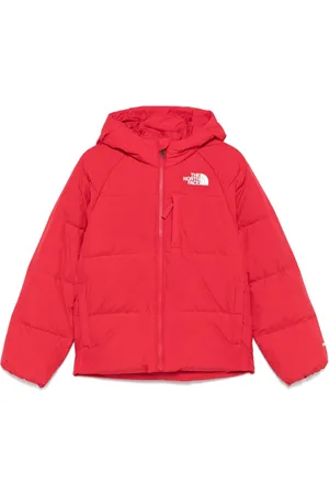 The North Face North jacket