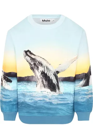 Molo Whale-print sweatshirt