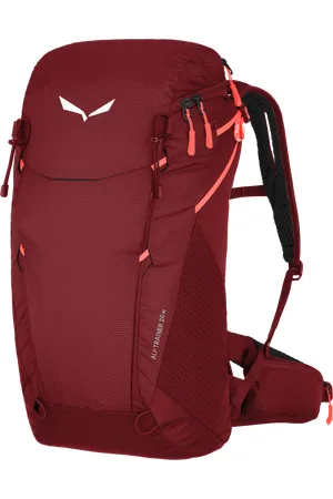 Salewa Alp Trainer 20 WS Batoh Turistika