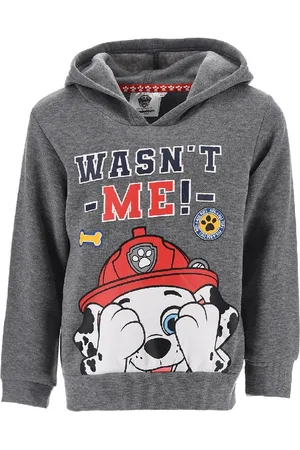Paw Patrol Šedá chlapecká mikina Wasn´t Me