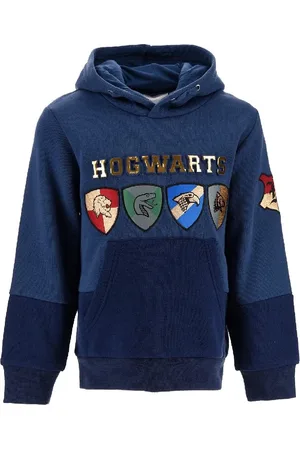Harry Potter Modrá mikina s kapucí a klokaní kapsou