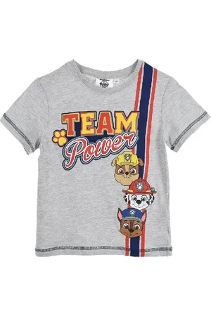 Paw Patrol Marshall Chase Rubble šedé chlapecké tričko