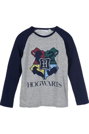 Harry Potter Šedé tričko s modrými rukávy