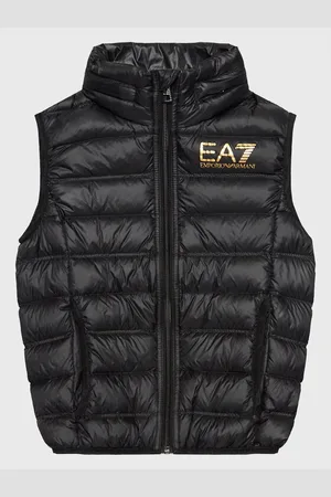 EA7 Vesta