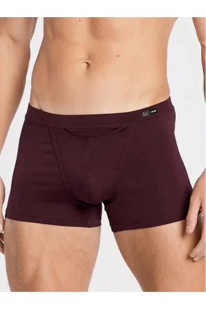 Hom Boxerky