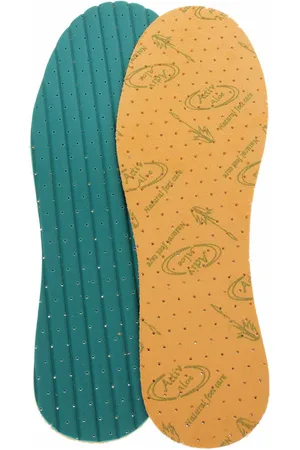 Rejnok Dovoz Stélky Seax Aloe Vera 40