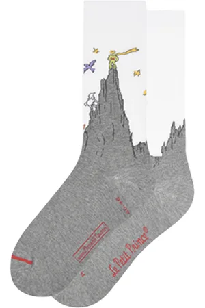 MuseARTa Le Petit Prince - Mountain