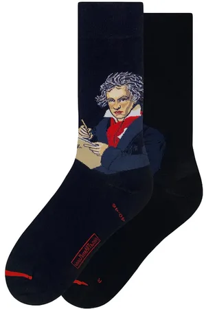 MuseARTa Joseph Karl Stieler - Ludwig van Beethoven
