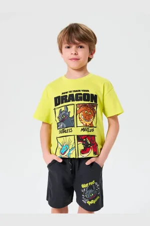Sinsay Kraťasy How to train your dragon