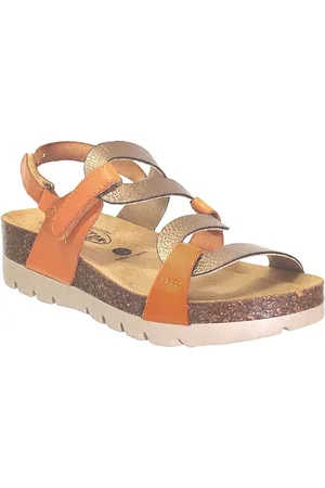 Plakton Boty Curvi