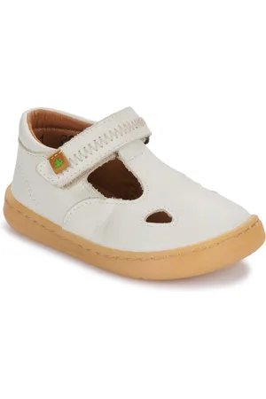 El Naturalista Boty 5341