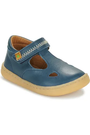 El Naturalista Boty 5341