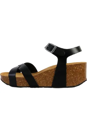 Plakton Boty 250418