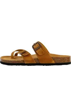 Plakton Boty 250925