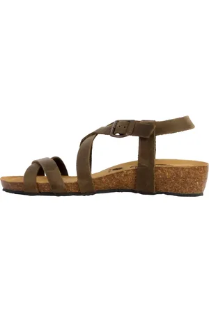 Plakton Boty 251009