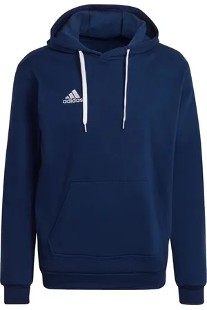 adidas Textil Entrada 22 Sweat Hoodie